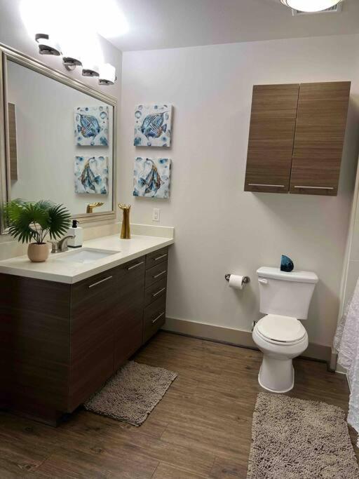Lovely 1 Bedroom Apt Midtown Htx Houston Exteriör bild